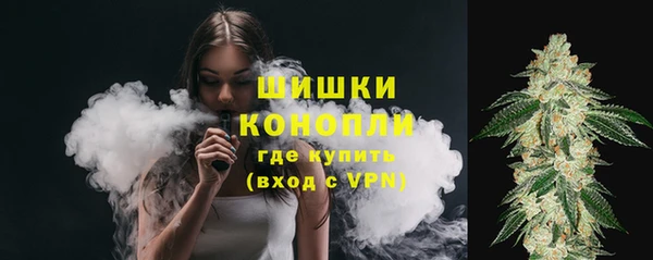 трава Абаза