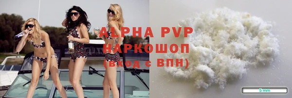 винт Алексин