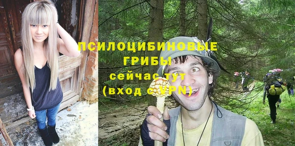 ешки Алексеевка