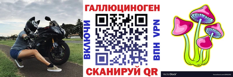 цена   Алзамай  Галлюциногенные грибы MAGIC MUSHROOMS 